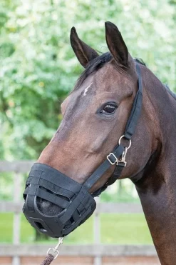 Tradera Häst & Ridsport<HarryÂ´s Horse Betesreducerare Shetland/XS