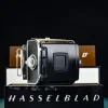 Tradera Hasselblad A12 magasin krom^ Fotoutrustning
