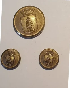 Tradera Militära Samlarsaker<Hedemora brandförsvar, knappar med Hedemoragranen!