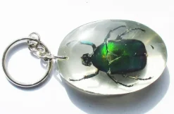 Tradera Häftig skalbagge nyckelring - PRESENT!! -^ Accessoarer