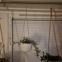 Tradera Krukor & Odlingssystem<Hängande ampel med Sedum morganianum plastväxt