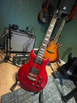 Tradera Humer Sunburst XT^ Musikinstrument