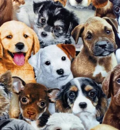 Tradera Hundporträtter. Grytlappar. Handgjorda, välsydda, stora. Designtyg. Bra kvalitet^ Inredning & Hushåll