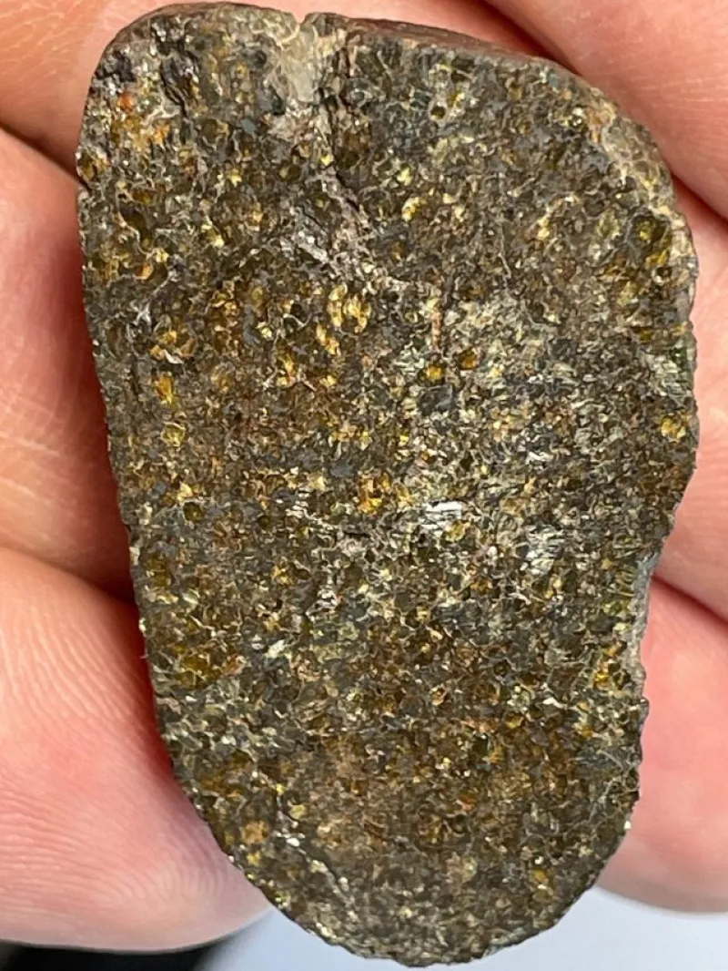 Tradera HUVUDMASSAN av Ureilit - Northwest Africa 15723 - 26g> Arkeologi