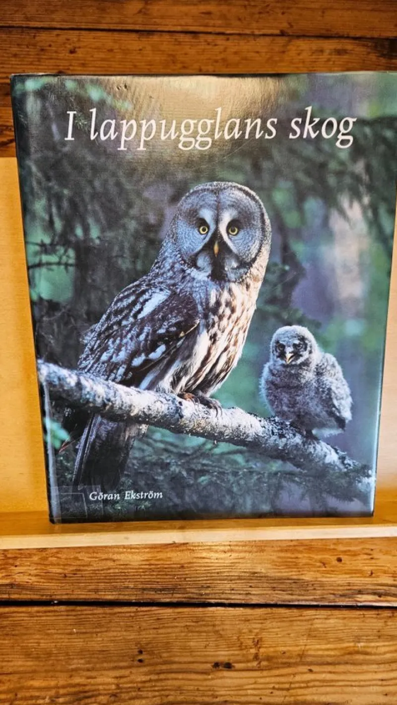 Tradera I lappugglan skog av Göran Ekström> Naturalia