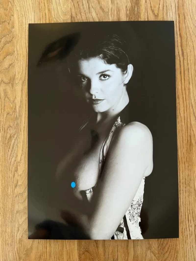 Tradera Ian Sanderson - Morgane (1999) - Stor fotoprint 33x48^ Fotokonst