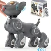 Tradera Interaktiv Robot Hund med Följ-Mig Funktion> Robotleksaker & Robotdjur