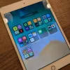 Tradera Surfplattor<iPad mini 4 64GB 4G/LTE