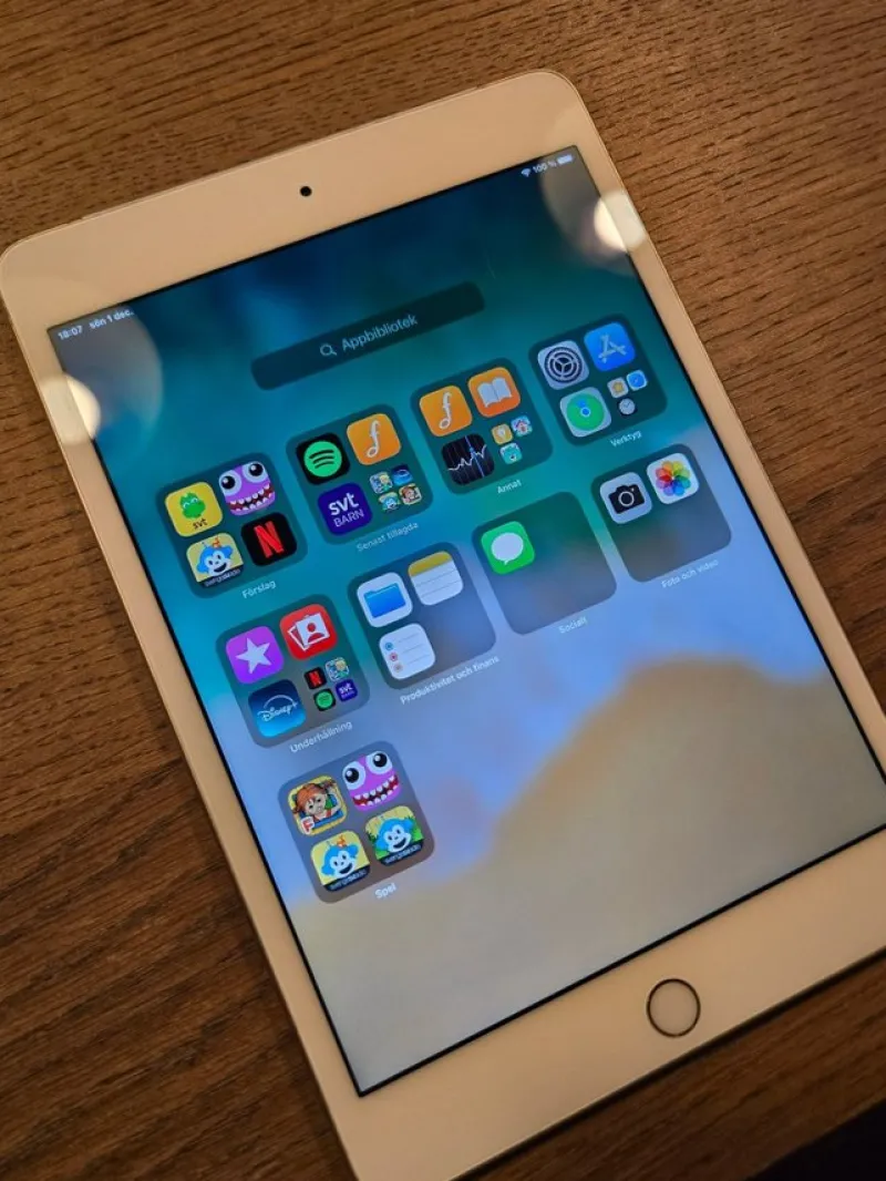 Tradera Surfplattor<iPad mini 4 64GB 4G/LTE