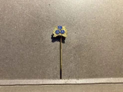 Tradera Pins & Nålar<Klubbnål Eksjö BS Bandysällskap, Småland