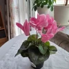 Tradera Konstgjorda Växter<Konstgjord cyklamen i kruka. Blommor, konstgjorda, dekoration.