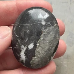 Tradera Ädelstenar<Äkta Zebra Jaspis Ädelsten Samlarobjekt, Dekorativ, Handsten, Palmstone 41g