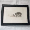 Tradera Lasse Åberg, Tryckt bild med igelkott i svart ram.Ca 20x15 cm.> Övrig Antik & Design