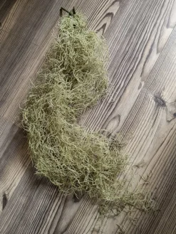 Tradera Konstgjorda Växter<Lav-girlang *7 st*