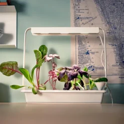 Tradera Växthus & Drivhus<Led-ramp Växer odlingssystem Växtbelysning LED-ramp - rare sällsynt