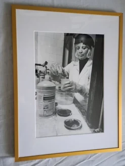 Tradera LENNART NILSSON ^ Fotokonst