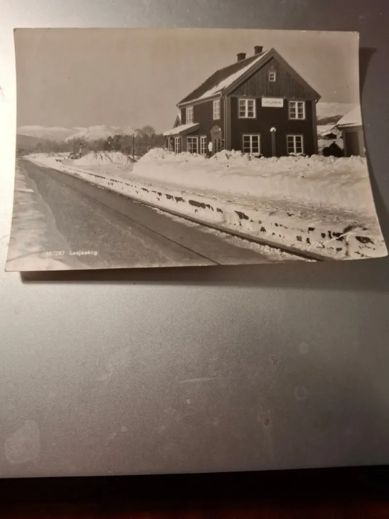 Tradera Nordiska Länder<LESJASKOG STASJON