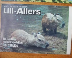 Tradera Lill-Allers bilagan veckotidning 1971 nr 37> Serier Övriga Världen