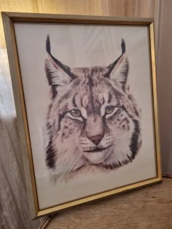 Tradera Lynx Lodjur i ram^ Övrig Konst