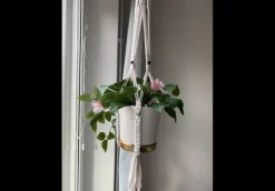 Tradera Övrigt Till Trädgård<Macrame Plant Hanger New