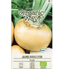 Tradera Växter & Frön<Majrova ’Jaune Boule d’Or’. 500 ekologiska frön!