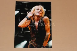 Tradera Michael Monroe foto Peace & Love Festival Borlänge 2010 #2^ Fotokonst