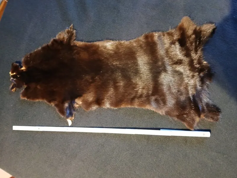 Tradera Minkskinn^ Hantverk