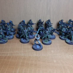 Tradera Star Wars<Målade Star Wars Legion-miniatyrer