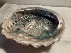 Tradera Mycket vacker naturlig Abalone snäcka, stor, ca 19x16,5 cm^ Smyckestillverkning