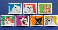 Tradera Nicaragua 1984 Katter Kpl serie postfriskt **^ Sydamerika & Karibien