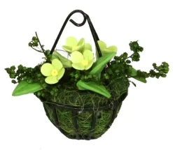 Tradera Nätt Ampelblomma Dockhus miniatyrer skala 1:12 Dockskåp miniatyr Skola> Dockskåp & Dockor