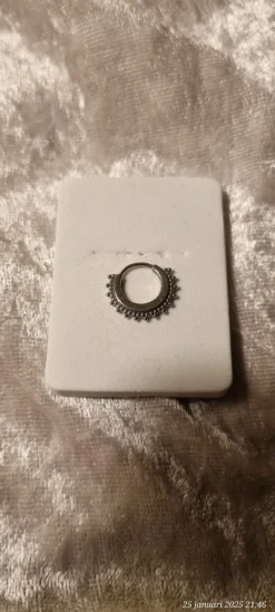 Tradera Piercings<Oanvänd, Ear Piercing, Örhänge, kirurgiskt stål