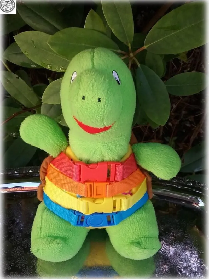 Tradera Pedagogisk sköldpadda mjukdjur kramdjur som man kan öppna bak i skalet> Experimentlådor & Vetenskap