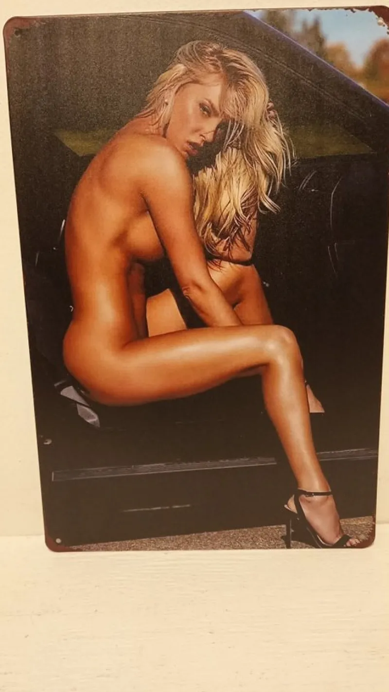 Tradera Skyltar<Pinup Fitness naturist/nudist girl plåtskylt