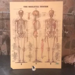 Tradera Plach> Kuriosa