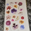 Tradera Pressade blombilder klistermärken^ Scrapbooking