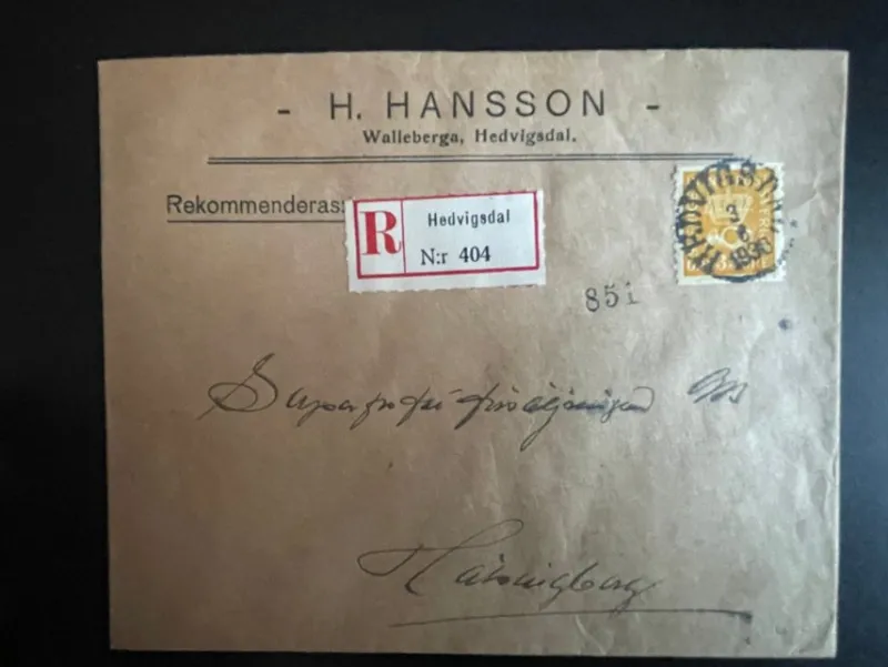Tradera REK reklambrev med 25 öre postemblem stämplat HEDVIGSDAL 1930^ Sverige