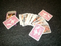 Tradera Spelkort<RETRO PINUPP/EROTIC KORTLEK KOMPLETT