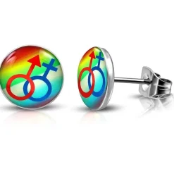 Tradera Örhängen<Örhänge Rainbow