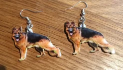 Tradera Örhängen<Örhängen Schäfer