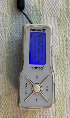 Tradera SanDisk MP3 spelare 1 GB^ Mp3 & Mp4-spelare