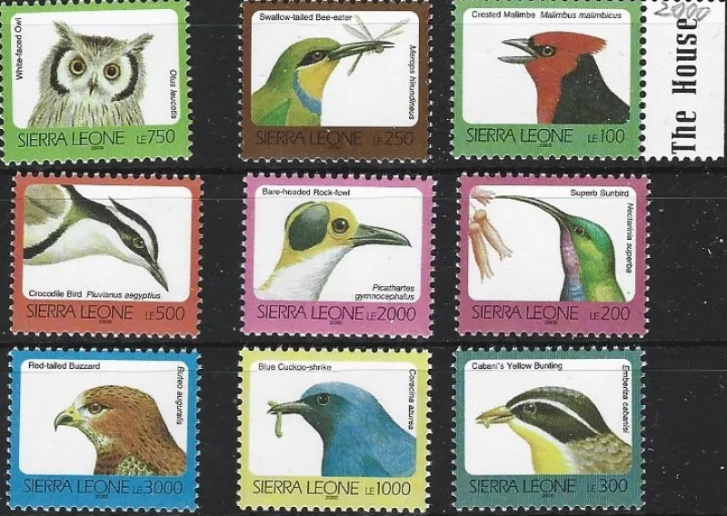 Tradera Sierra Leone 2000 Fåglar 9v med tryckår 2000^ Afrika