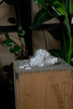 Tradera Trädgårdsredskap<Självhäftande växtklämmor 10-pack