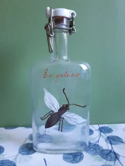 Tradera Snapsflaska > Glas