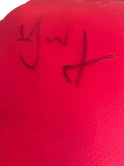 Tradera Bordtennis & Pingis<Stellan Bengtsson Defensive Wood med autografer