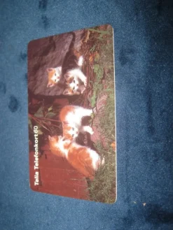 Tradera Telefonkort<SÖTT RETRO TELEFONKORT PÅ KATTUNGAR 30 MARKERINGAR