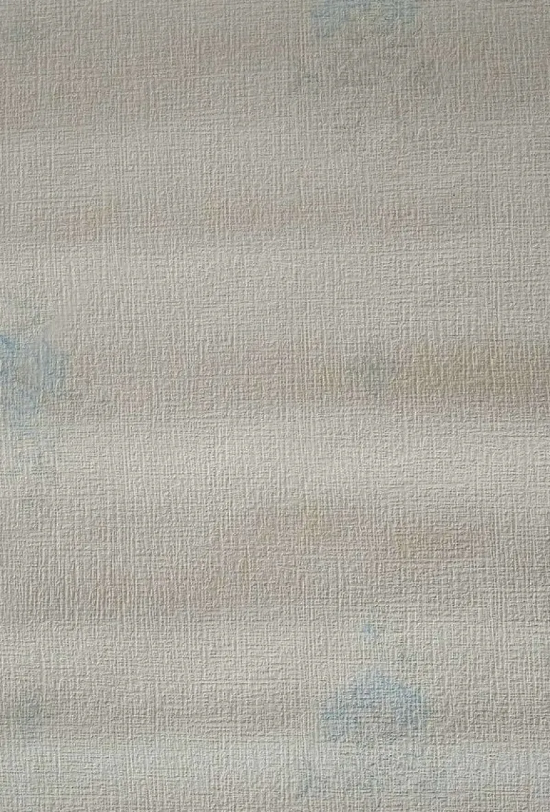 Tradera Tapet 6031 1930-tal / 1930s antique wallpaper tapeter byggnadsvård> Kuriosa