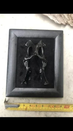 Tradera Tavla för den vågade. Bäckenben från kanin på sammetsbakgrund.^ Övrig Konst