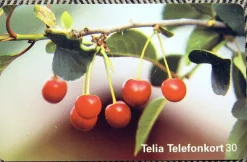 Tradera Telefonkort<Telia Telefonkort 30 markeringar Retro Foto Björn Forsberg