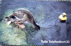 Tradera Telefonkort<Telia Telefonkort 30 markeringar Retro Stockholm Water Festiival